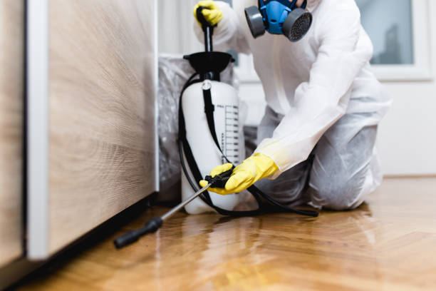 Flea Control Services in Lake Wylie, SC