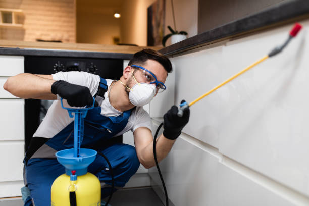 Best Best Pest Control Companies  in Lake Wylie, SC