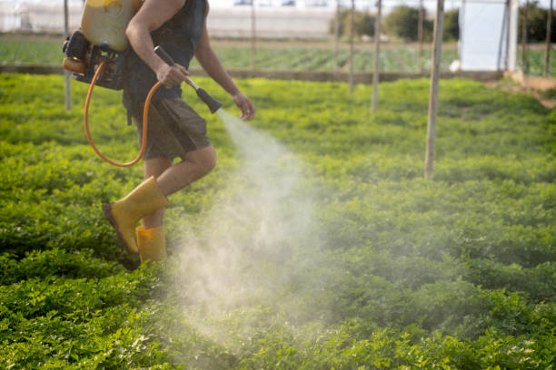 Best Mosquito Control Services  in Lake Wylie, SC